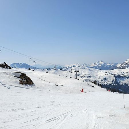 Chalet Cannelle Chatel Exterior photo