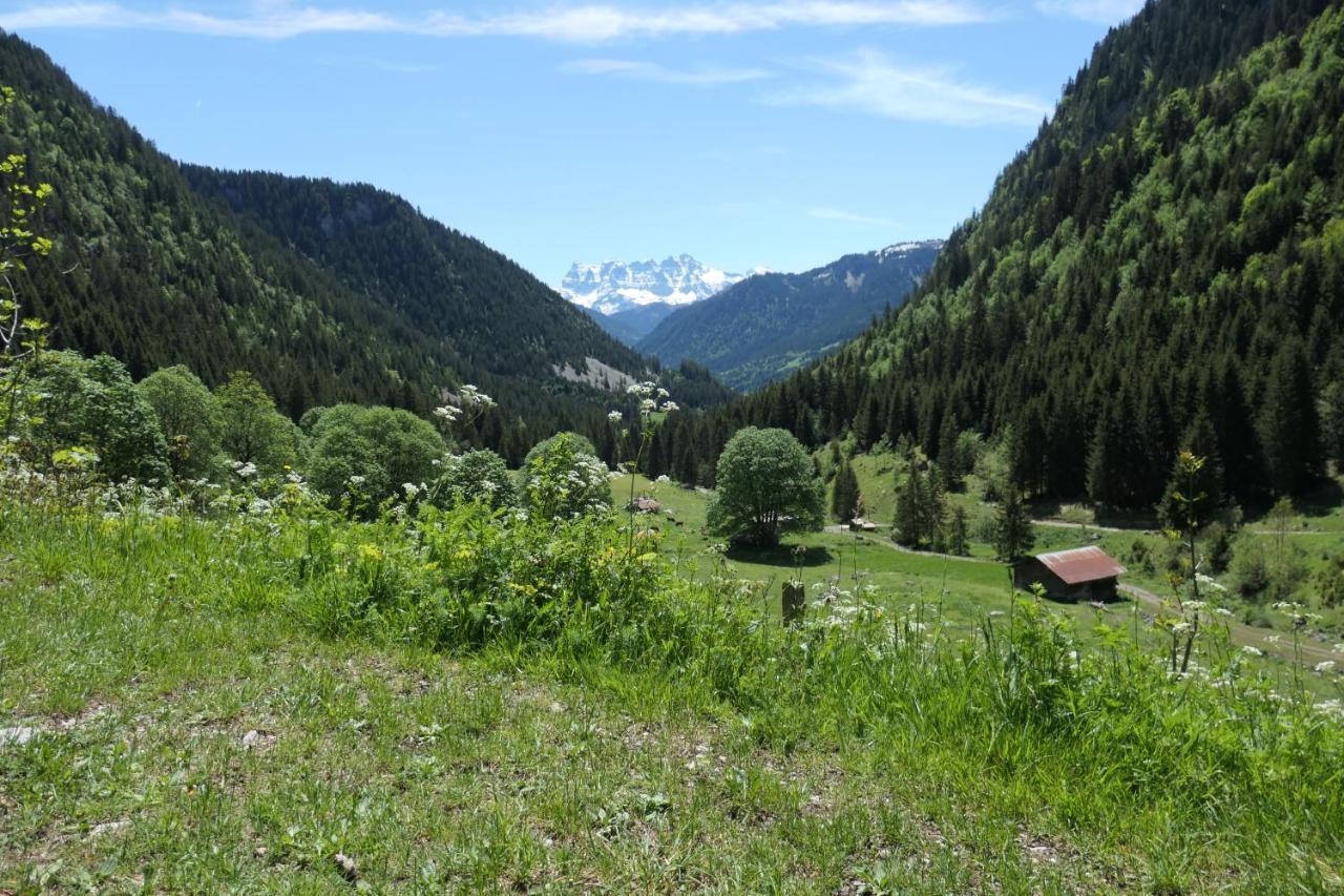 Chalet Cannelle Chatel Exterior photo